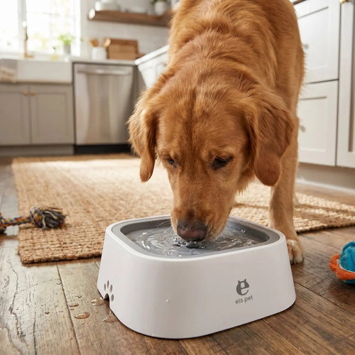 No-spill dog water bowl lifestyle