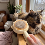 Relaxed cat enjoying being brushed