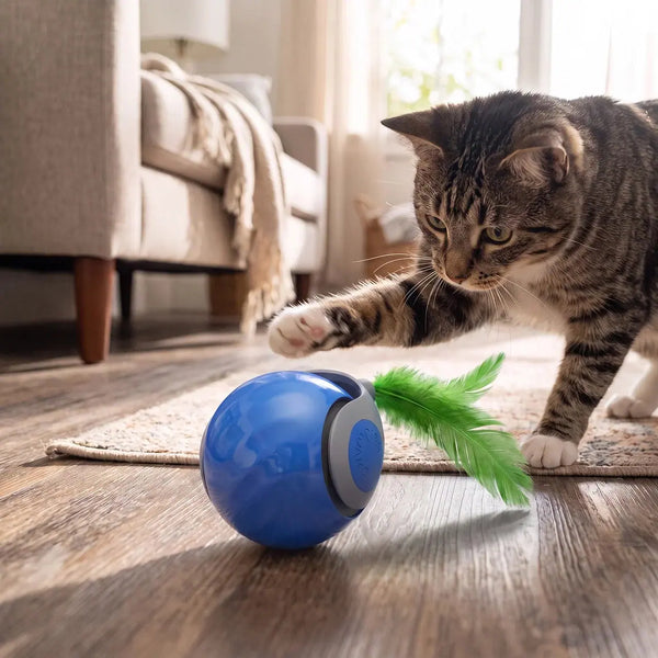 Automatic Rolling Cat Ball photo 1
