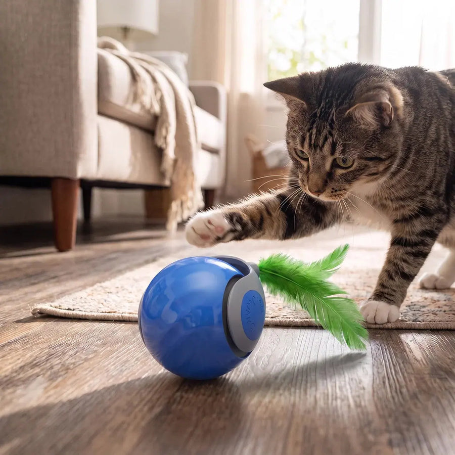 Automatic Rolling Cat Ball photo 1