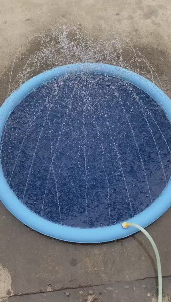 Dog Splash Pad in action - customer demo video