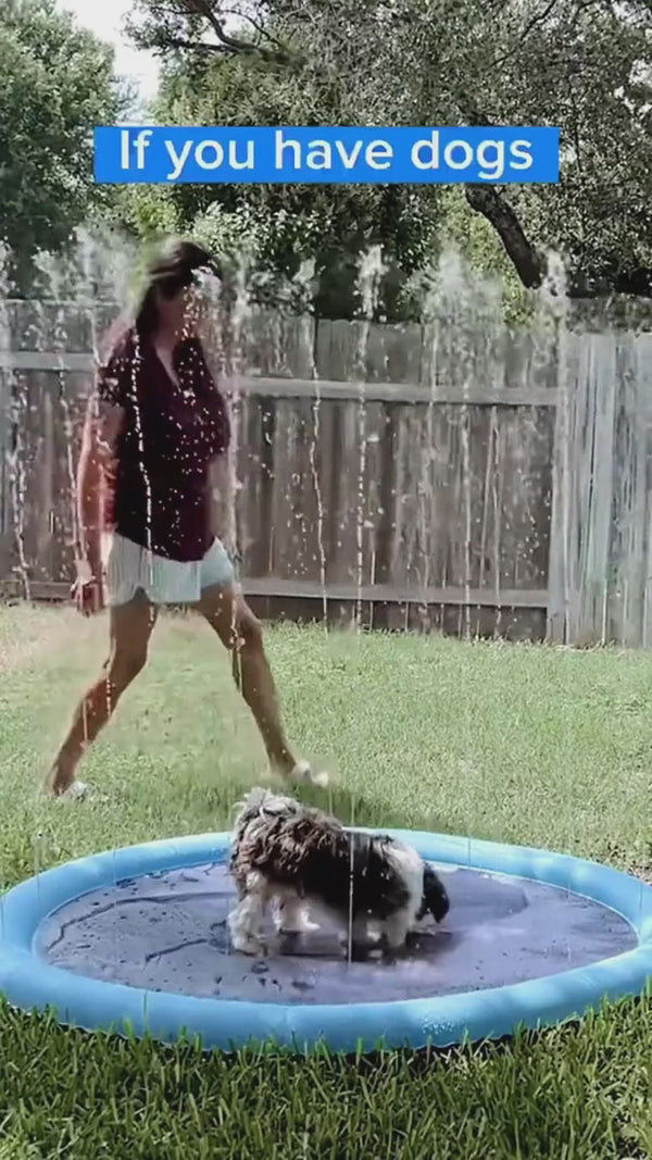 Dog cooling off on the Tailand splash pad - demo video